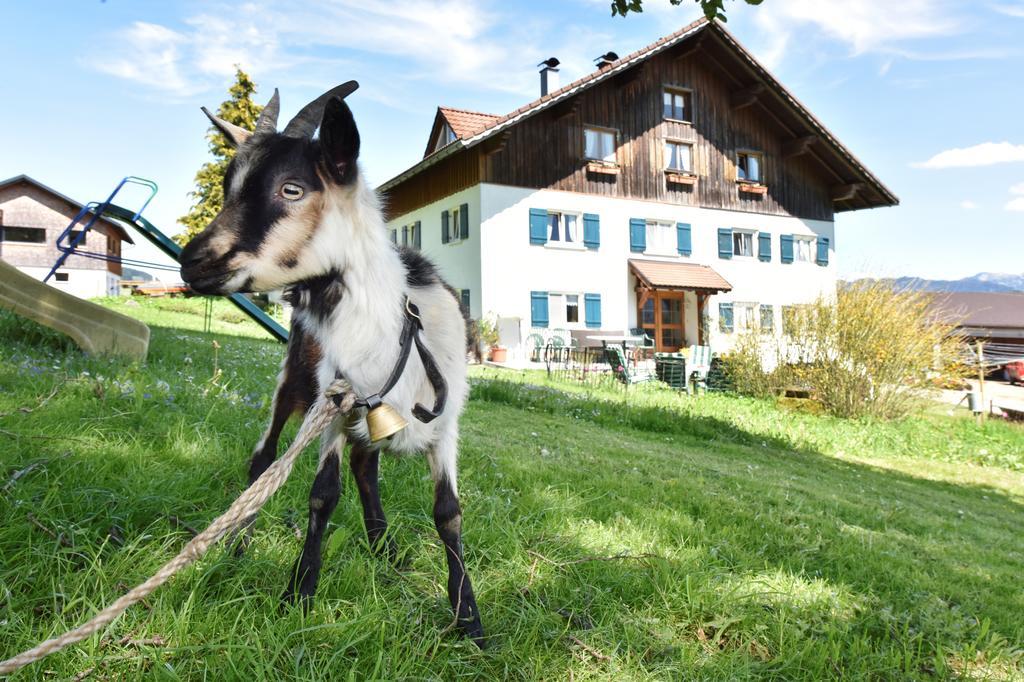 Apartamento Lindenhof Sulzberg  Exterior foto